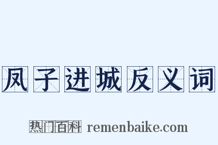 凤子进城反义词是什么意思的图片